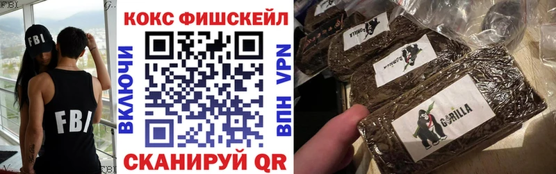 сколько стоит  Белозерск  КОКАИН Fish Scale 