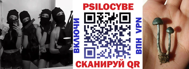 Галлюциногенные грибы MAGIC MUSHROOMS  кракен tor  Белозерск 